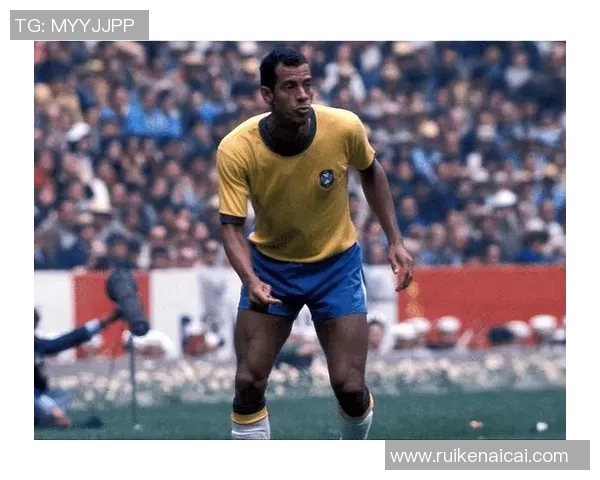 巴西退役足球明星生涯成就与影响力综合排名分析